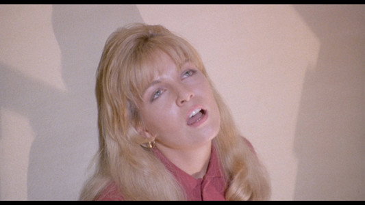 Twin Peaks: The Missing Pieces