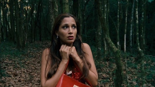 Saneamento Básico, o Filme