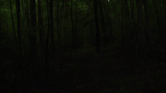Toad Road