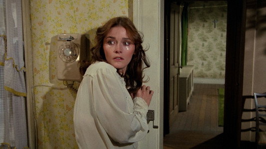 The Amityville Horror