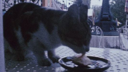 Diaries, Notes, and Sketches