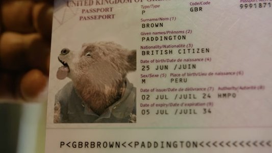 Paddington in Peru