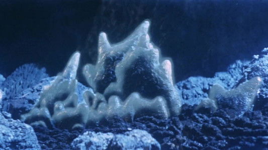 ゴジラ・エビラ・モスラ　南海の大決闘