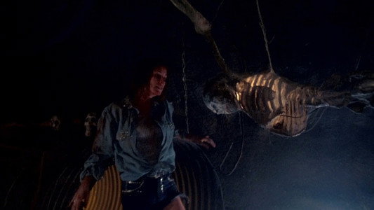 The Texas Chainsaw Massacre Part 2