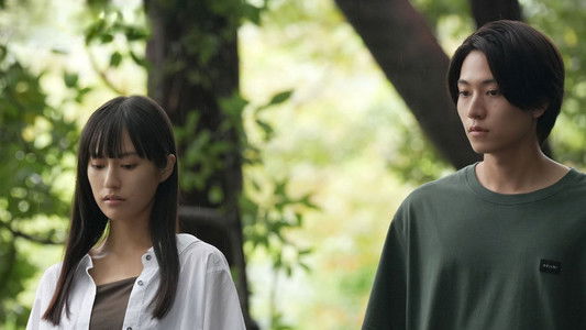 ひと夏の共犯者