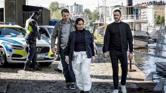 Beck 43 - Ett nytt liv