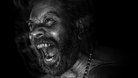 ഭ്രമയുഗം
