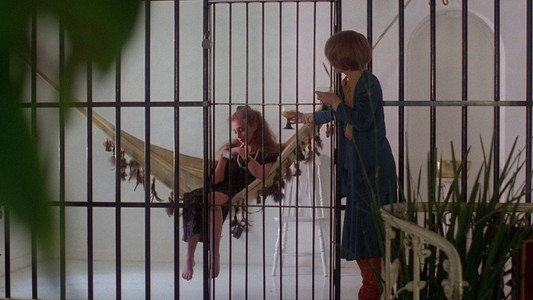 The Mafu Cage