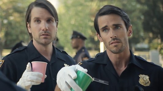 Wrong Cops, The Series