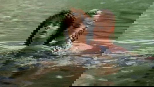 Lake Consequence