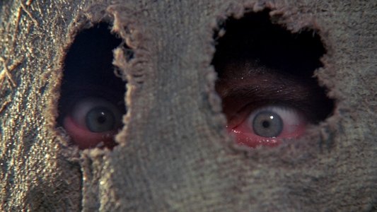 Dark Night of the Scarecrow