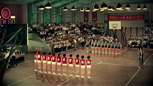 女篮五号