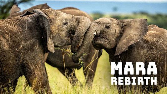 Mara: Rebirth