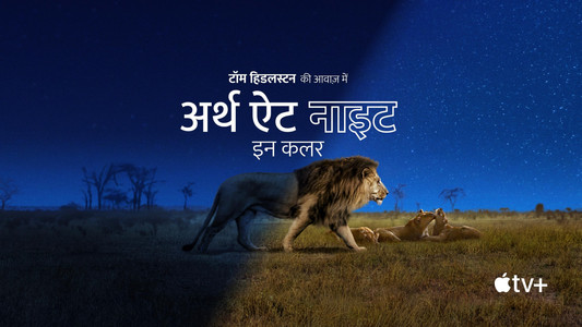 Earth at Night in Colour