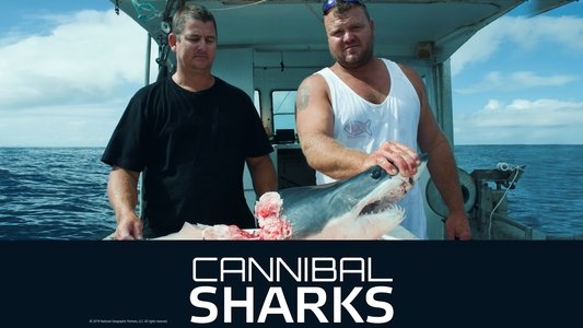 Cannibal Sharks