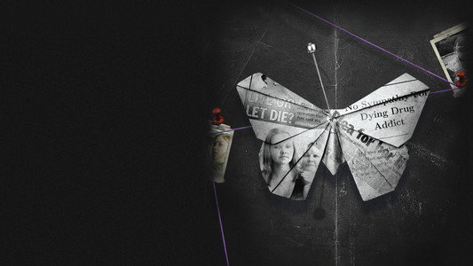 Wild Butterfly