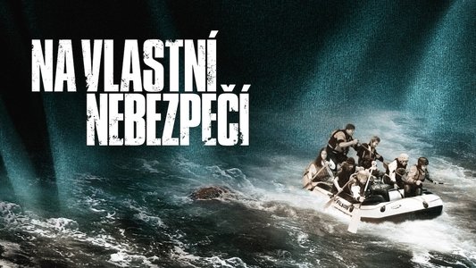 Na vlastní nebezpečí