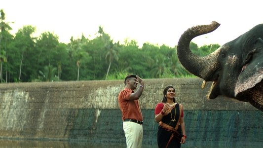 கட்ஸ்