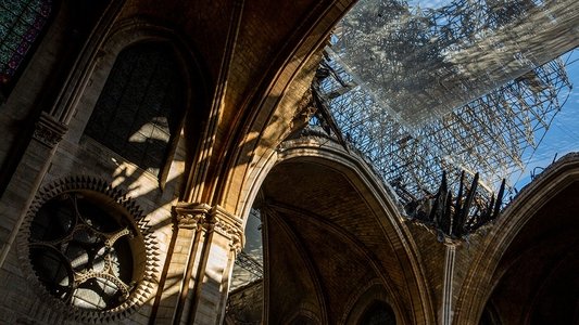 Saving Notre Dame