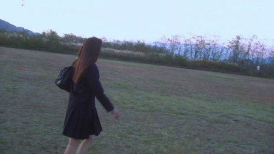 リリイ・シュシュのすべて