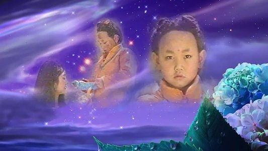 小龙人