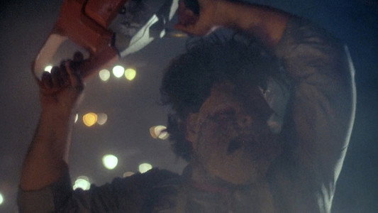 The Texas Chainsaw Massacre Part 2