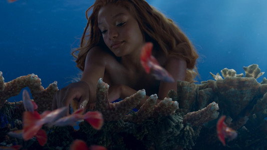 The Little Mermaid