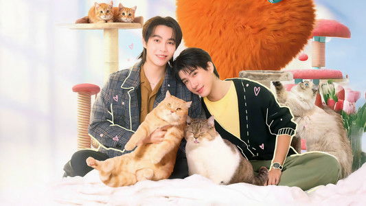 เปย์รักด้วยแมวเลี้ยง