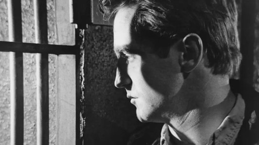 In Cold Blood