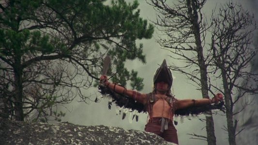 Shadow of the Hawk