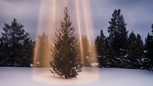 National Lampoon's Christmas Vacation