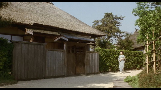 山桜