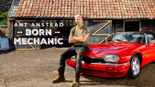 Ant Anstead: Born Mechanic