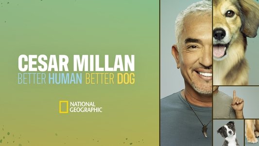 Cesar Millan: Better Human, Better Dog