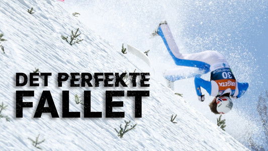 Det perfekte fallet