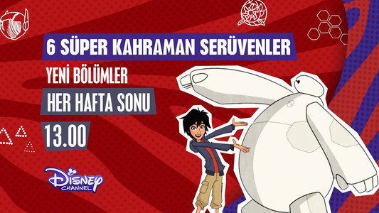 Big Hero 6 The Series