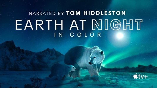 Earth at Night in Colour