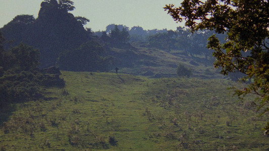The Princess Bride