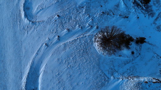 Latvijas Izmeklētāji