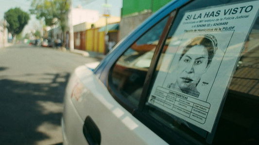 La Dama del Silencio: El caso Mataviejitas