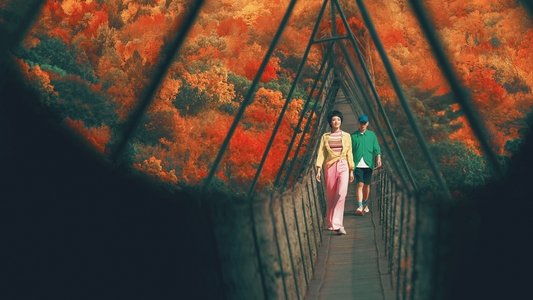 非诚勿扰 3