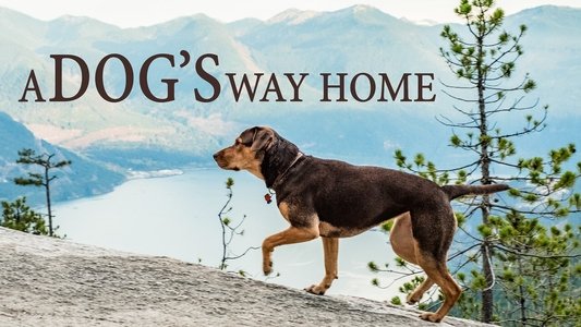 A Dog's Way Home