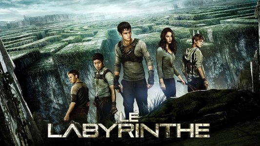 The Maze Runner