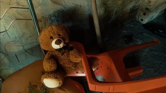 Teddy Bear