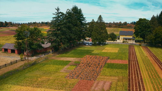 R.L. Stine's Pumpkinhead