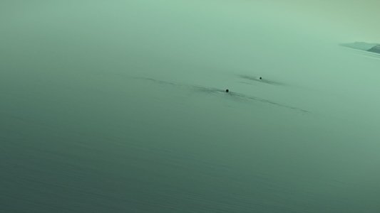刺猬