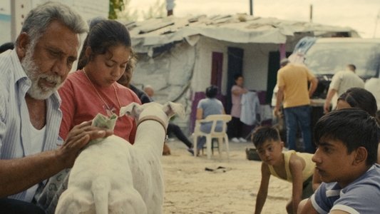 Ciudad sin sueño
