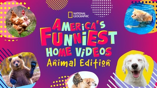 America's Funniest Home Videos: Animal Edition