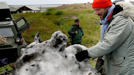Mammoth Unearthed