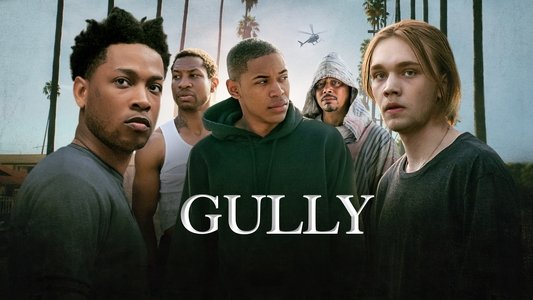 Gully